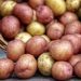 potatoes-vegetables-nature-4331742-600x400